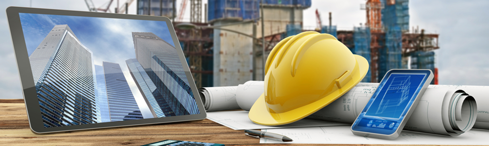 Project Managers